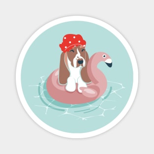 Summer pool pawty // aqua background basset hound dog breed in vacation playing on swimming pool float Magnet